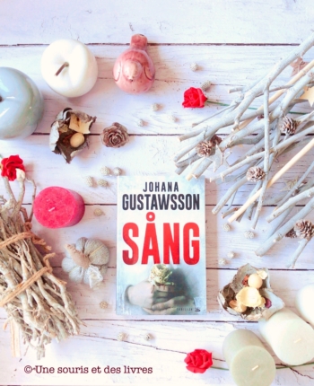Sang Johana Gustawsson Une souris et des livres