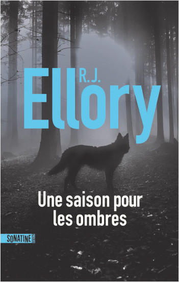 avis lecture une saison pour les ombres de RJ Ellory roman noir 