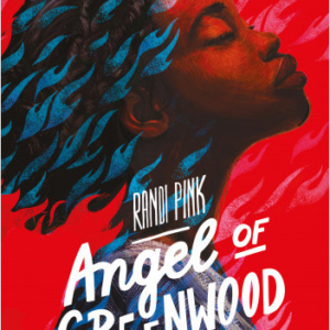 Angel of Greenwood de Randi Pink avis lecture